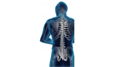 Информационный вебинар «Остеопатия – новая медицинская специальность. Игра по правилам и без» состоялся 8 декабря